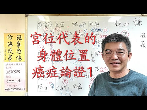 紫微鬥數 身體部位