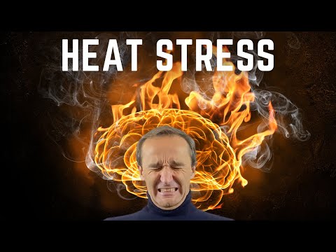 What happens to our brain when it gets too hot?