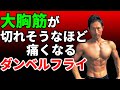 大胸筋が切れそうなほど痛くなるダンベルフライのやり方とコツ 胸のトレーニング ベンチプレスとは違う効果を