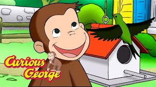 Thats the Birds Food! 🐵 Curious George 🐵 Kids Cartoon 🐵 Kids Movies