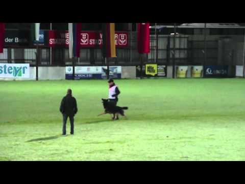 WUSV WM World Championship 2012 Vongalanberg Kai B. 91