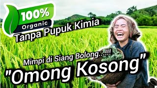 Download lagu 🔴 I Open Here‼️Fully Organic Is Bullshit ❌ Compost Fertilizer, POC, Organic Fertilizer #healthy #... mp3 Download lagu 🔴 I Open Here‼️Fully Organic Is Bullshit ❌ Compost Fertilizer, POC, Organic Fertilizer #healthy #... mp3