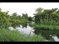 Best Places To Visit In India Exploring Villages In Hullahalli Mysuru
