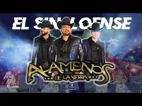 El Sinaloense - @LosAlamenosDeLaSierra  (EN VIVO 2022)