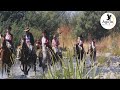 HURACANES DE CHILE - LAS 4 VELAS - Música campesina - Águila Récords Chile