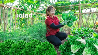 Harvesting Vegetables goes to the Market to Sell - Gardening | Lucia Daily Life