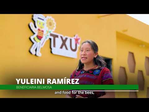 Chuolmena: Apicultura Sostenible en Todos Santos Cuchumatán | MDE Guatemala
