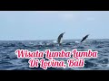 Lumba Lumba Di Lovina Dolphin Di Lovina Bali Pantai Lovina Jalan Jalan Di Lovina