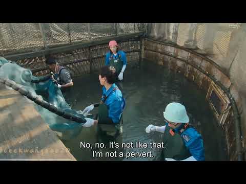 Kim Yeon koung to Lee Kwang Soo: Are you a pervert? Korea No 1 ep6