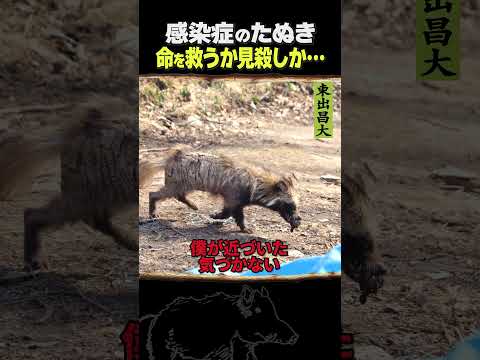 東出昌大 / 感染症のたぬき