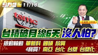 台積破月線6天 沒人怕?被動輪動 #華新科 #國碩 #欣興 4寶買? #南亞 #台化 #台塑 #台塑化 《點石盛金》石富景