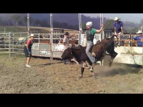 sam champ bull riding