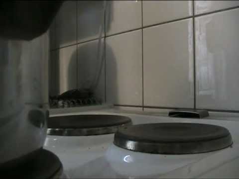 Sunnuntai 2.10.2011 osa2