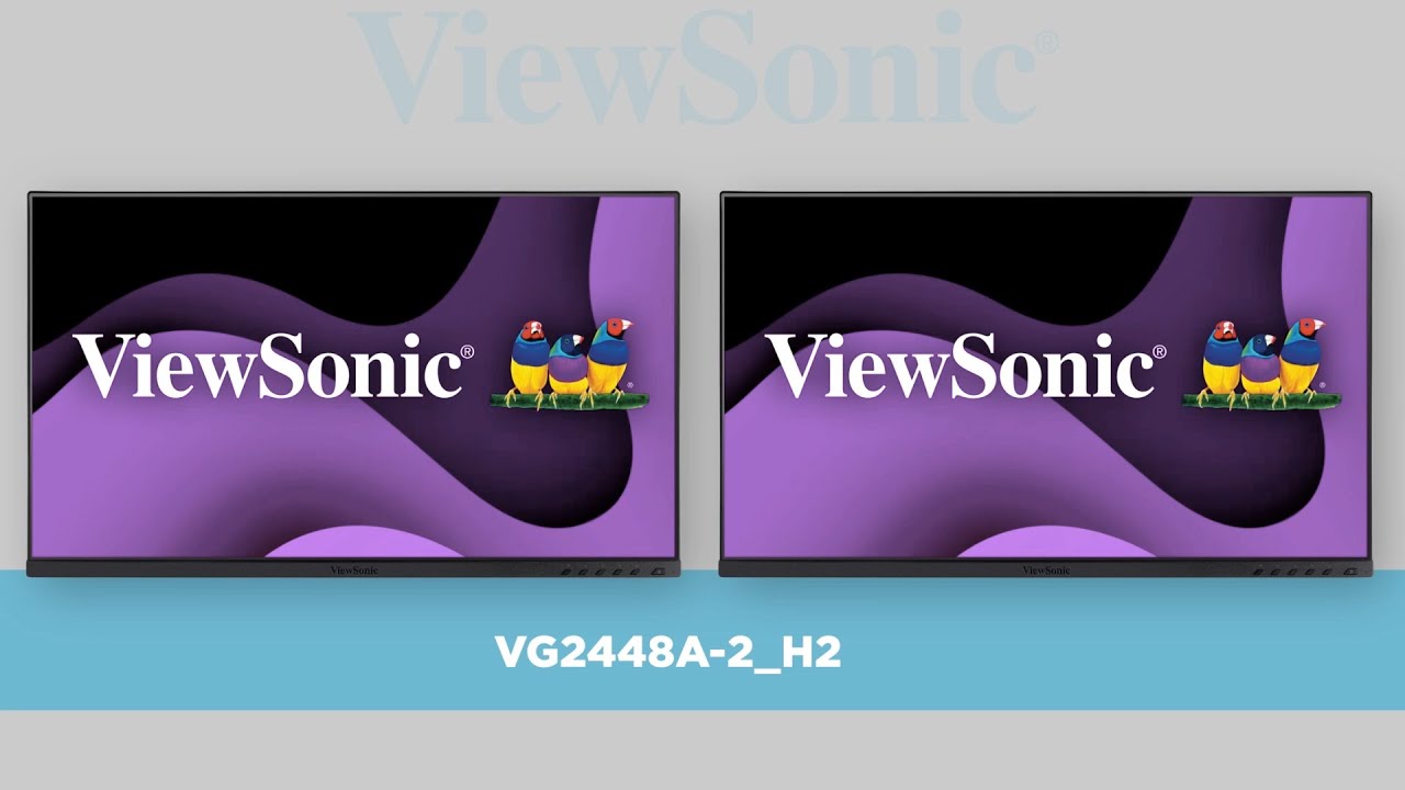 VG2448A-2_H2 24" Dual Head Monitor Pack