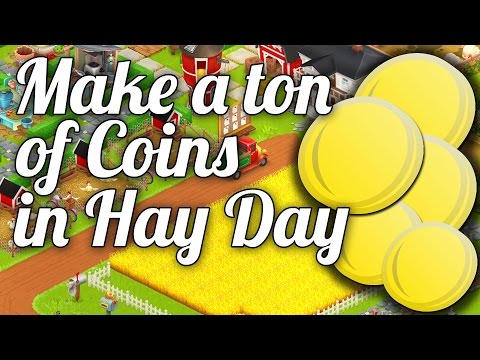 download lagu mp3 mp4 How To Make Money Hay Day, download lagu How To Make Money Hay Day gratis, unduh video klip How To Make Money Hay Day