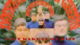 Can&#39;t Make up My Mind/The Seekeers 1967