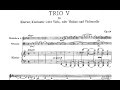 Johannes Brahms: Trio for clarinet, cello and piano Op. 114 (1891)