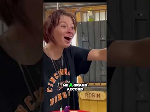 Gags Peludos: Un Show Cómico con los Amigos del Bosque