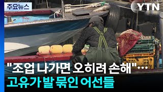 "조업 나가면 오히려 손해"...고유가에 발 묶인 어선들 / YTN