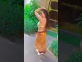 Ameesha Patel Viral Hot Outfits Ameesha Patel Hot Look