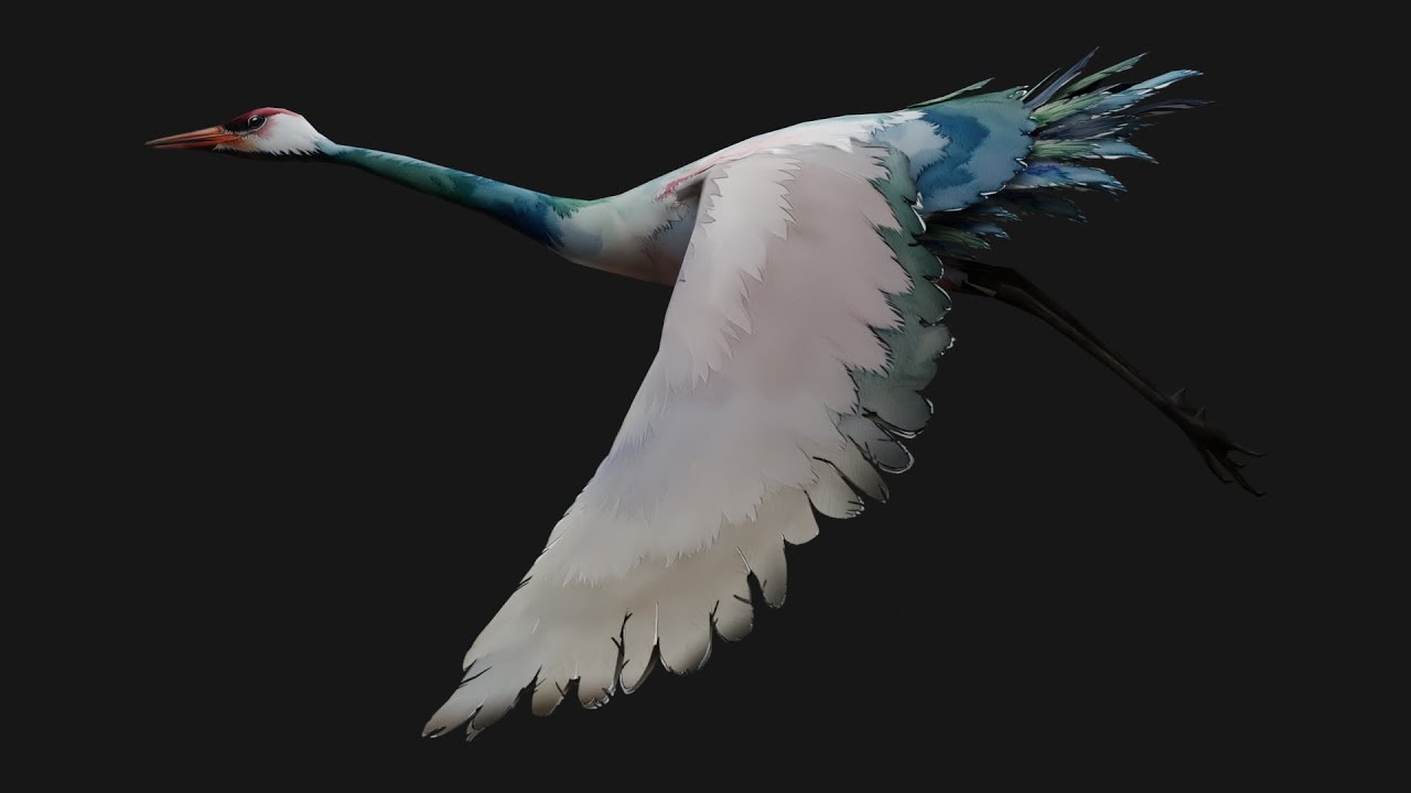 Crane BirdA6 3D Model