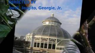 Los Lobos in d Botanicals ... (Bulletproof fm d Desperado soundtrack)