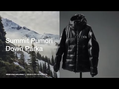 Summit Series Pumori Down Parka | The North Face