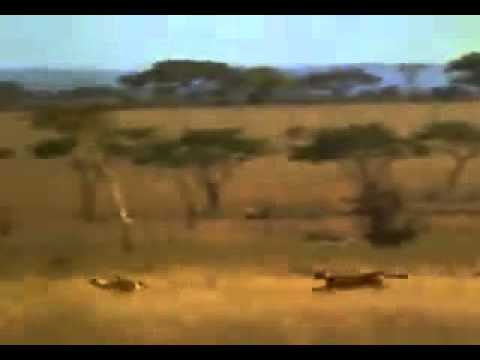 Non ci posso credere!!!