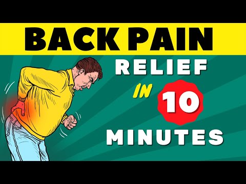 Lower Back Pain - Everything You Need to Know | Lower Back Pain Exercises "FAST RELIEF"