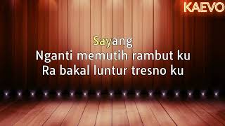 Download lagu [Konser] Via Vallen - Sayang Karaoke mp3