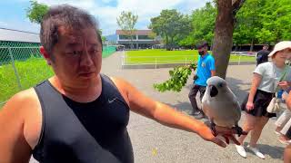 端午一日遊（張美阿嬤萌寵農場、南方澳海岸線、蘭陽溪河床）