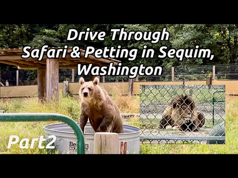 Safari Washington Drive Through in Washington ( Part 2)