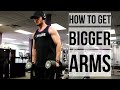 MAKING GAINS 2 DAY 6 - HOW TO GET BIGGER ARMS