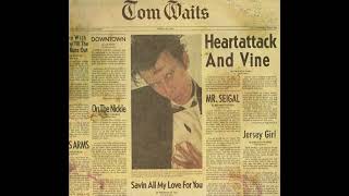 cartridgeVAN DEN HUL,balanced output/Tom Waits –  In Shades / vinyl