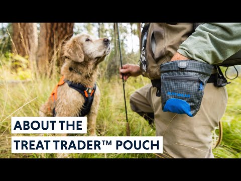 Treat Trader™ Dog Treat Pouch