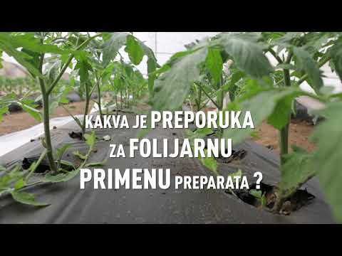 Zaštita povrća od najznačajnijih štetočina