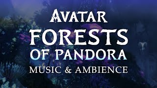 Avatar | Forests of Pandora Music &amp; Ambience in 4K, with ASMR Weekly