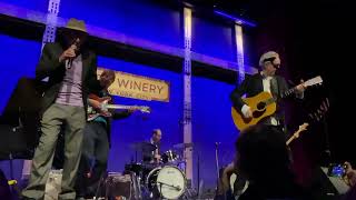 &quot;That&#39;s Life&quot; Graham Parker @ City Winery,NYC 05-28-2022
