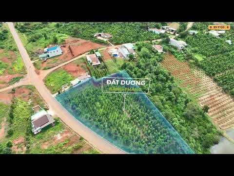 Chỉnh sửa Ảnh Bất động sản Flycam & Dựng Video Flycam 4K Chuy&ecirc;n Nghiệp