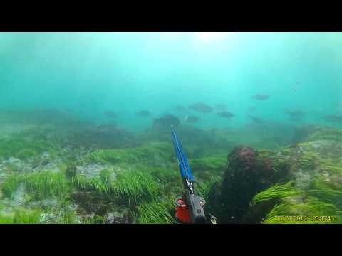 Hunting on One Breath