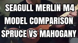 Video thumbnail for Seagull Merlin M4 Model Comparison by Ryan's Flatpick and Strumstick Journal