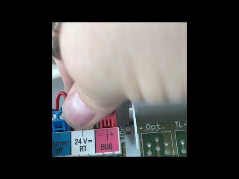 How to wire a Hive system into a Vaillant Eco Plus 831