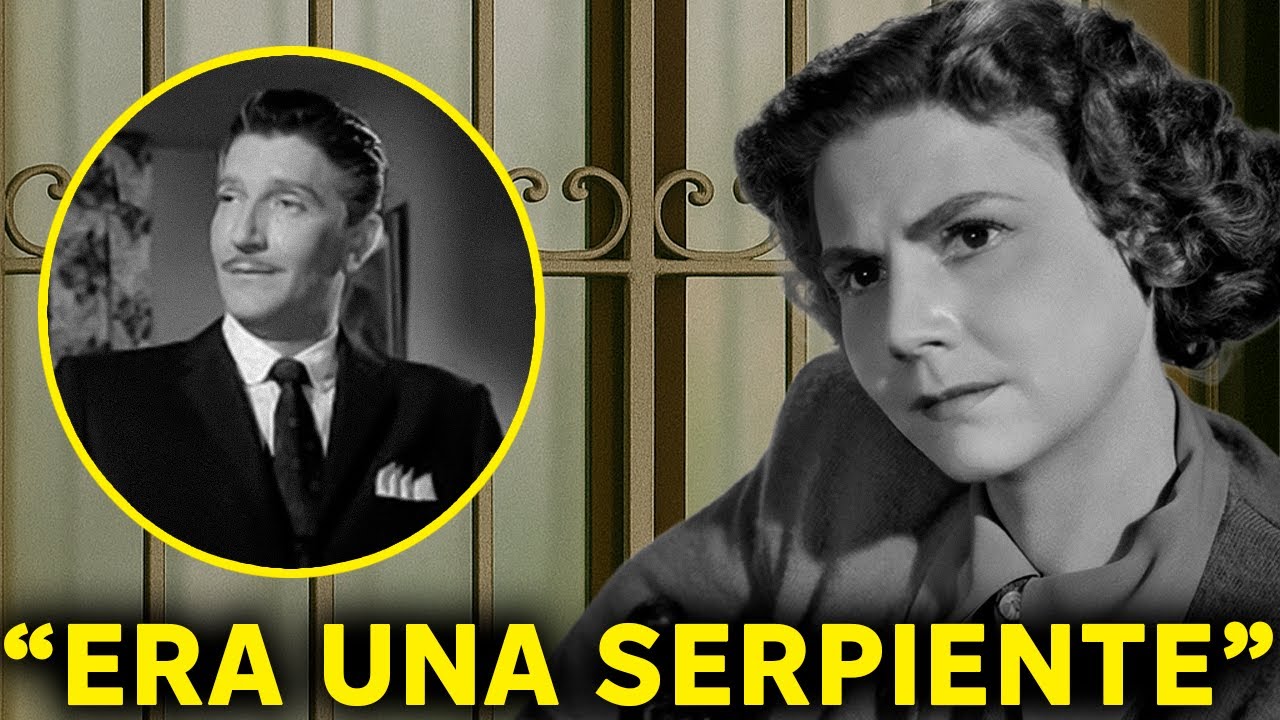 YouTube Thumbnail Downloader FULL HQ IMAGE