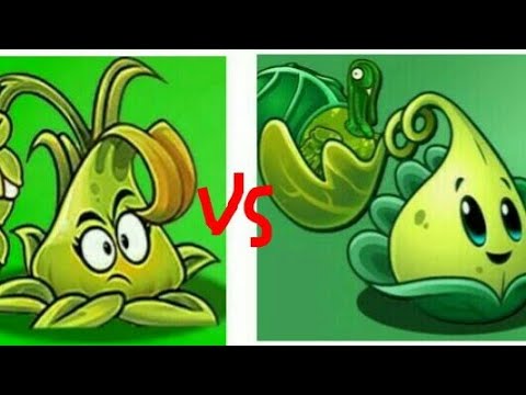 turkey pult VS stickybomb rice