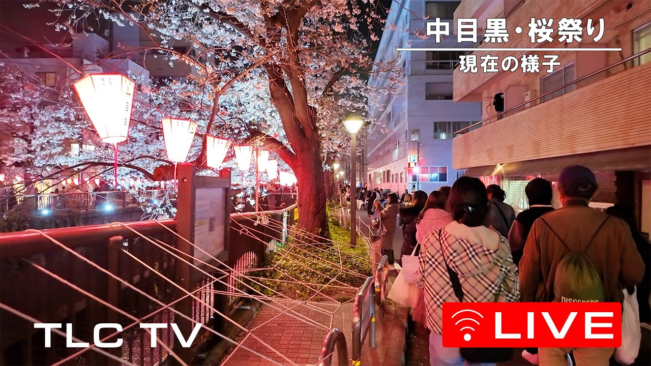 【LIVE】中目黒 桜まつり 2026　～目黒川桜中継～　Japan　cherry blossoms