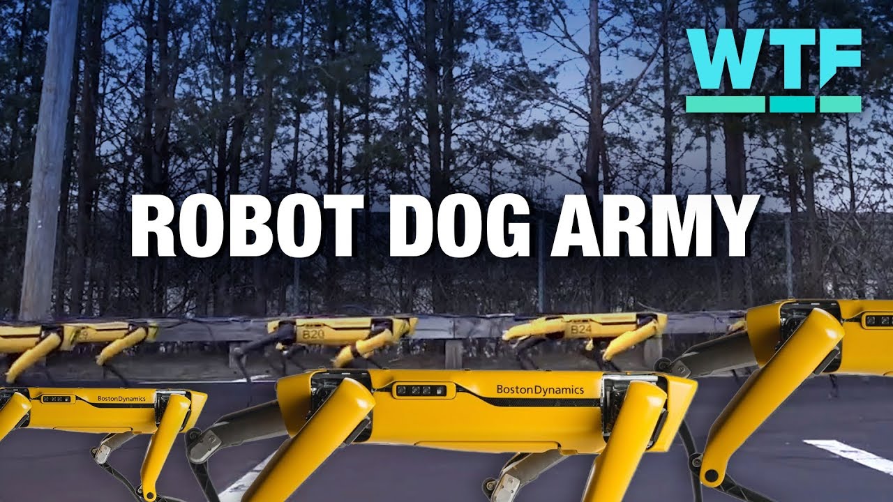 Boston Dynamics' four-legged Spot robots hot off the production line! | What the Future