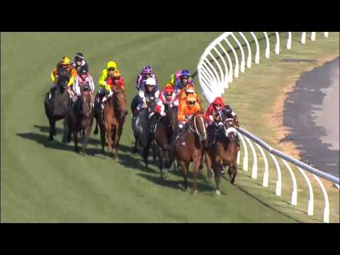Fawkner by Reset wins the G1 Makybe Diva Stakes at Flemington