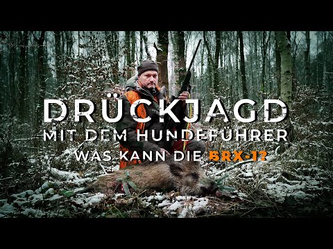 Drückjagd 🐗🐗🐗 mit Hundeführer – wie schlägt sich die Beretta BRX1 auf der Drückjagd 🌳🌳🌳