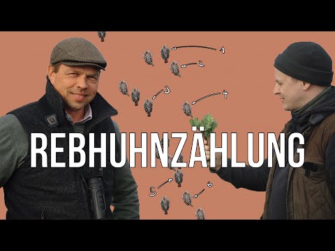 Freunde der Jagd - Folge 20 - Rebhuhnzählung mit Paul im Niederwildtestrevier #artenschutz