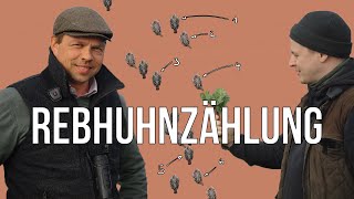 Freunde der Jagd - Folge 20 - Rebhuhnzählung mit Paul im Niederwildtestrevier #artenschutz #rebhuhn